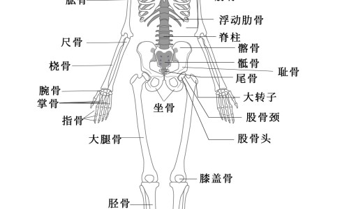 早餐鸡蛋水有没有营养-早餐鸡蛋 怎么吃最营养网 | 早餐鸡蛋红薯可以一起吃吗,早餐鸡蛋 怎么吃最营养呢